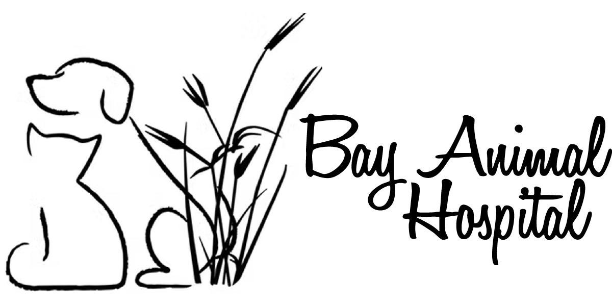 Bay Animal Hospital Logo