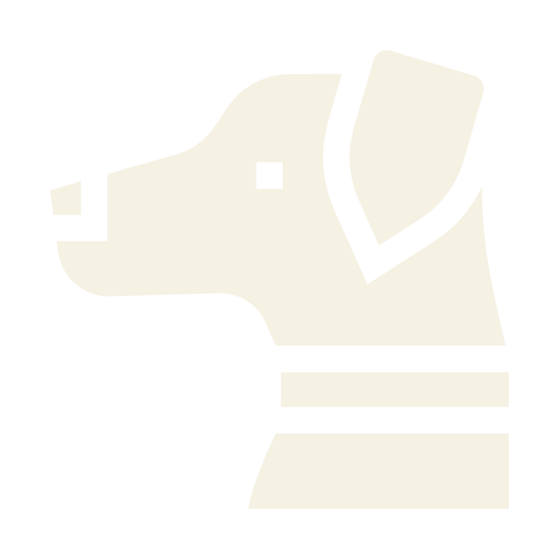 Pet Dentistry Icon