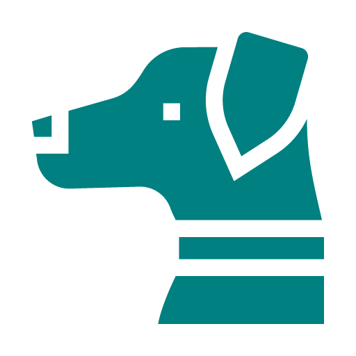 Pet Dentistry Icon
