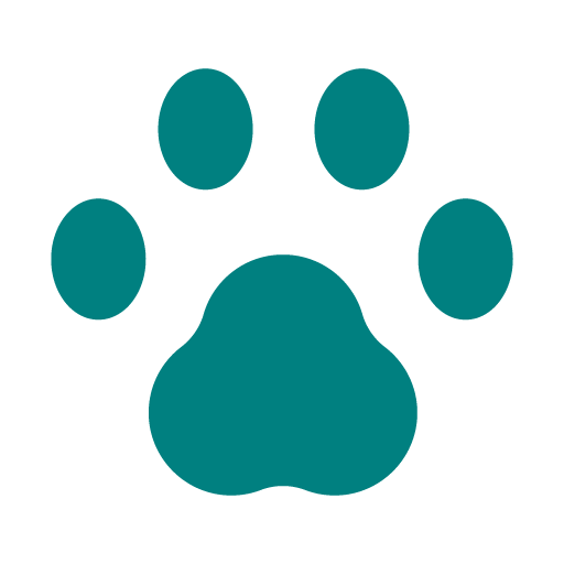 Pet Wellness Care Icon
