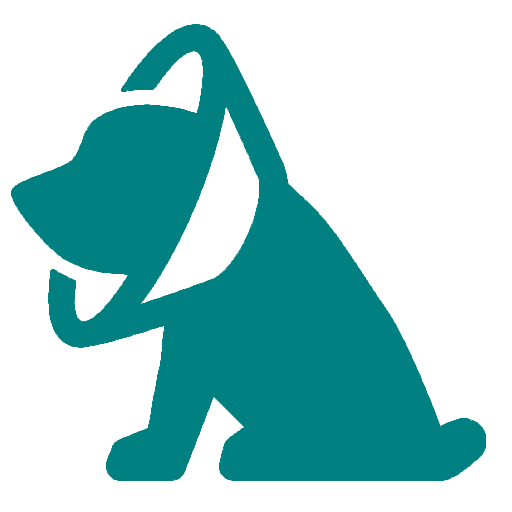 pet surgery