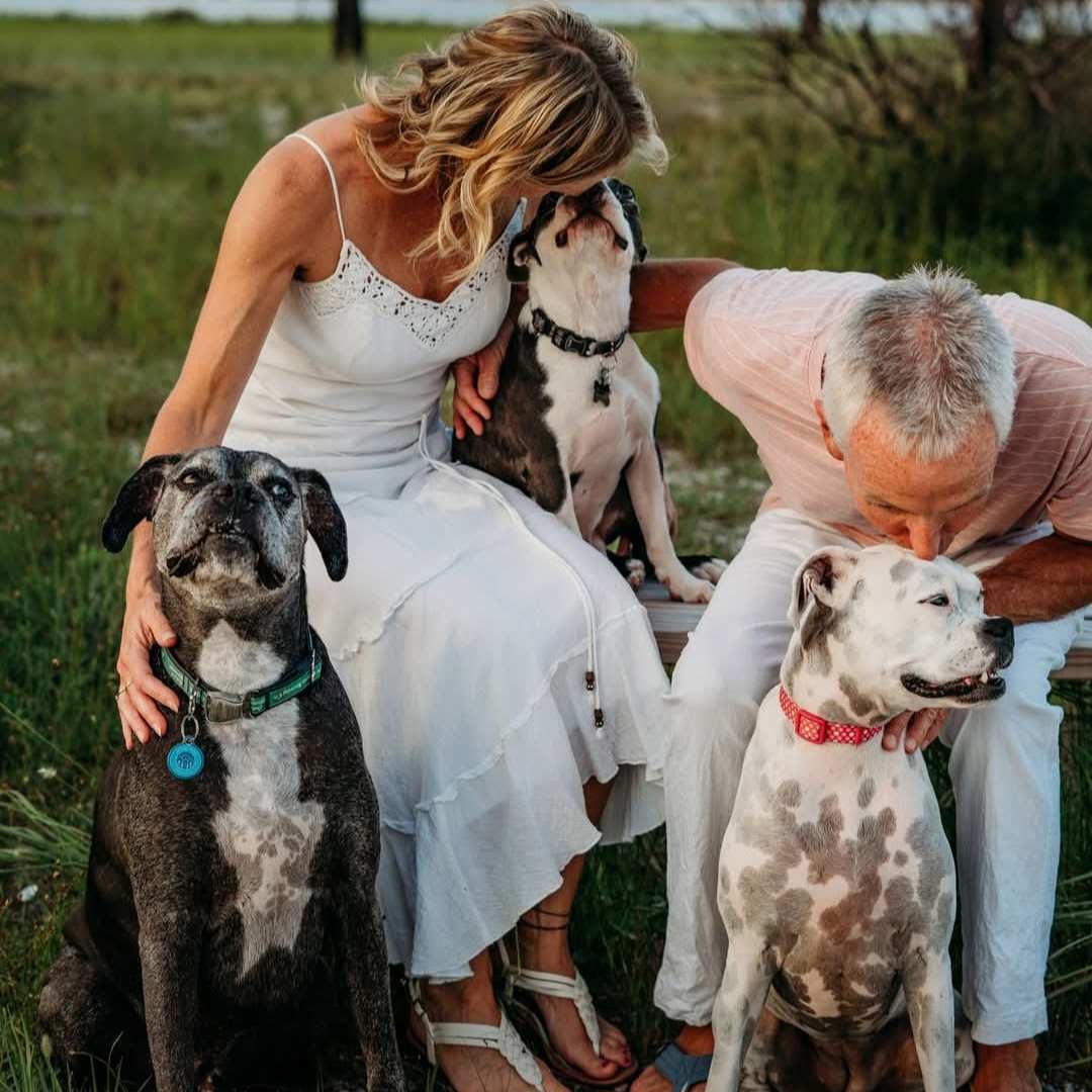 Couple kisses dogs on park bench